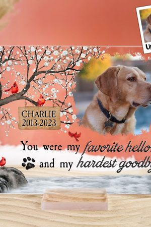 You Were My Favorite Hello And My Hardest Goodbye - Personalized Acrylic Photo Plaque